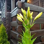 Lodge Monte Kristo