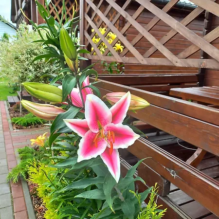 אכסניה Monte Kristo *