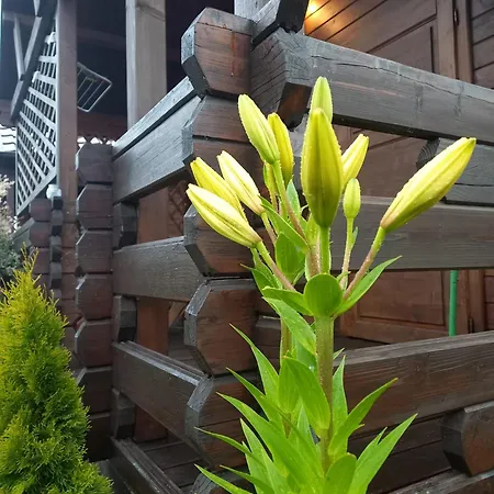 Lodge Monte Kristo