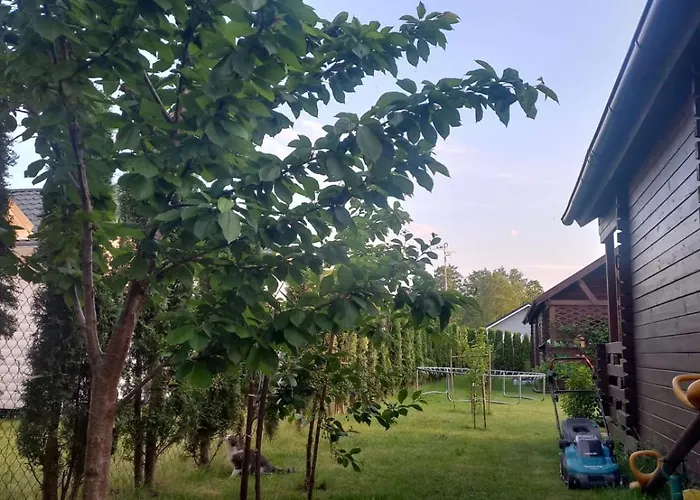 Monte Kristo Деревянный коттедж