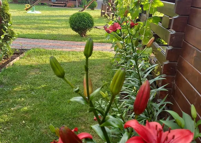 Monte Kristo Деревянный коттедж *