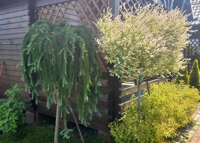 Деревянный коттедж Monte Kristo *