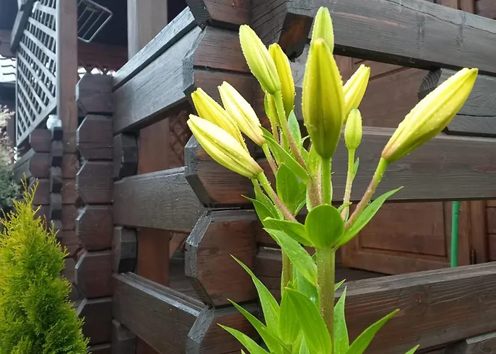 Деревянный коттедж Monte Kristo